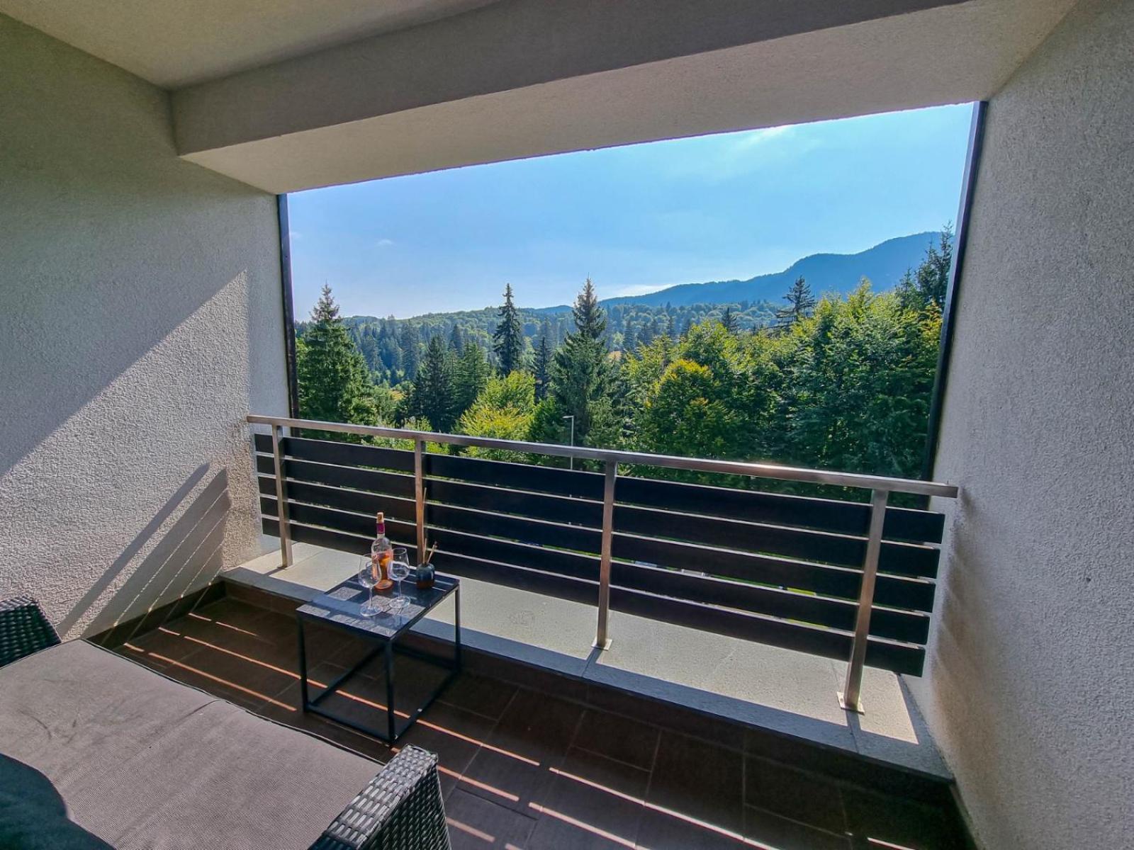 Silver Mountain G1 21 R Poiana Brasov Buitenkant foto