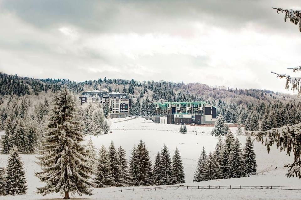 Silver Mountain G1 21 R Poiana Brasov Buitenkant foto